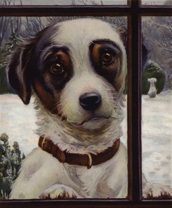 Please let me in! by English School